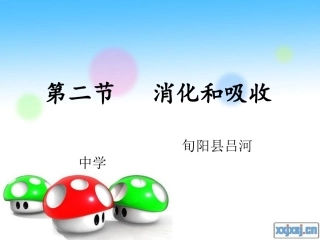 消化和吸收2