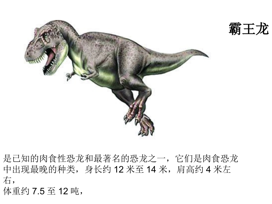 飞向蓝天的恐龙课件4 (3)_第2页