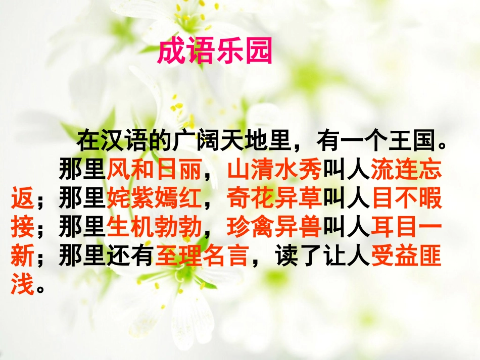 成语复习课课件(练习)_第2页