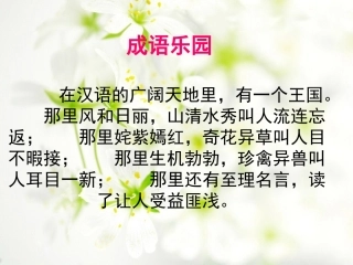 成语复习课课件(练习)