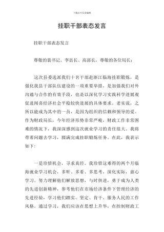 挂职干部表态发言