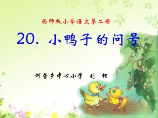 小鸭子的问号8