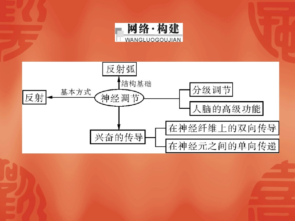 21_通过神经系统的调节_课件_新人教版必修3_第2页