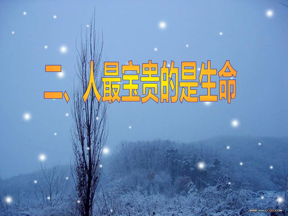 第14课第二框人最宝贵的是生命_第1页