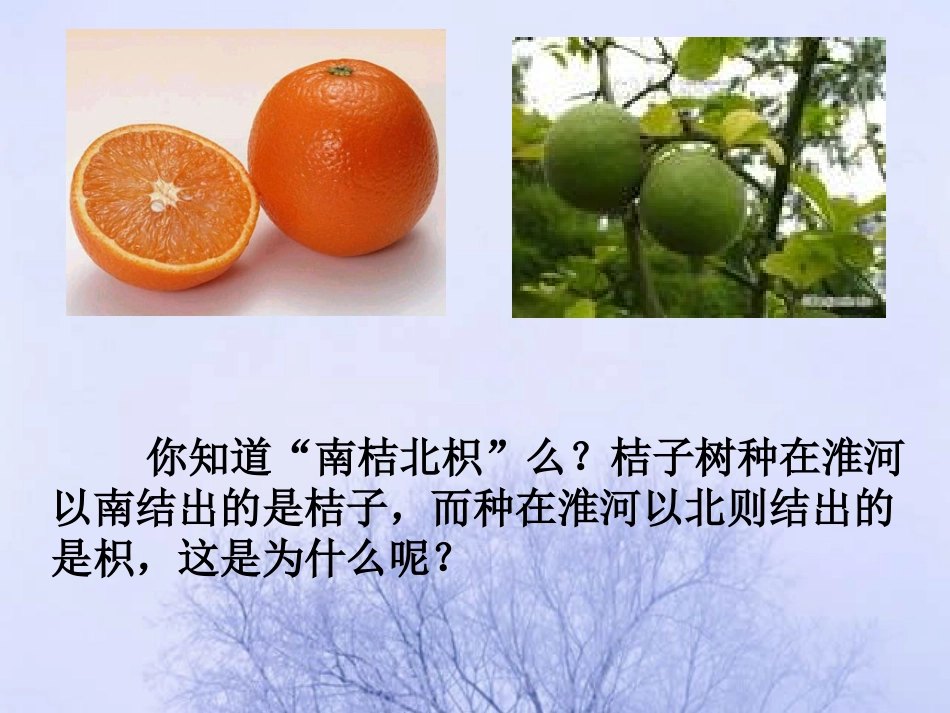 生物生存的环境_第1页