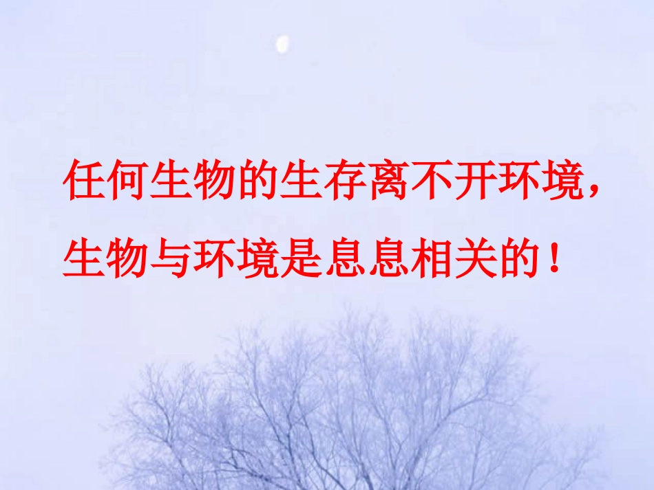 生物生存的环境_第3页