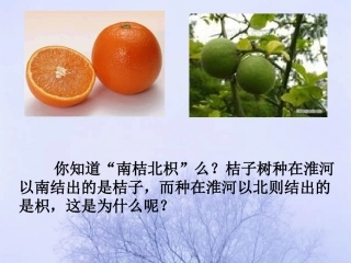 生物生存的环境