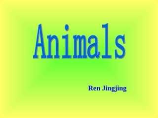 小学英语动物教学课件