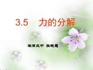 必修135力的分解