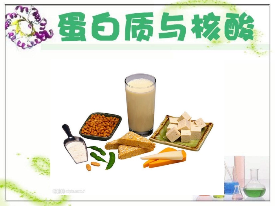 蛋白质和核酸_第1页