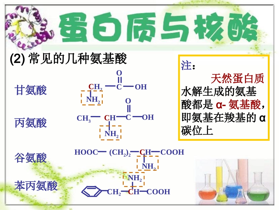 蛋白质和核酸_第3页