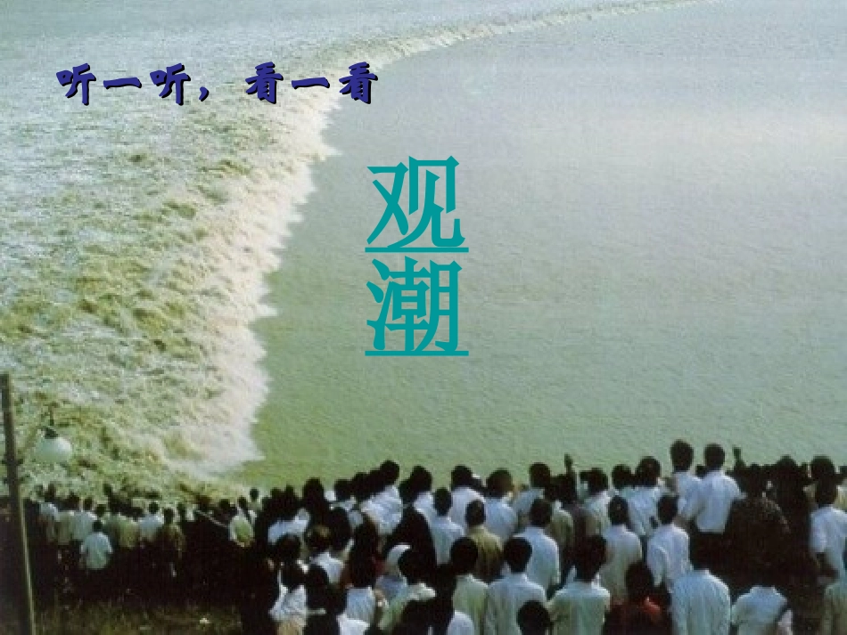 1观潮 (2)_第3页