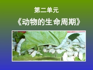 三下二单元《动物的生命周期》教材分析