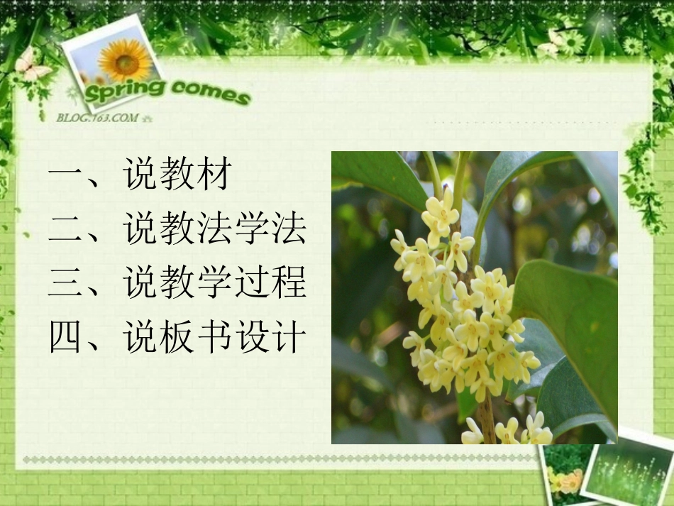 7桂花雨说课_第2页