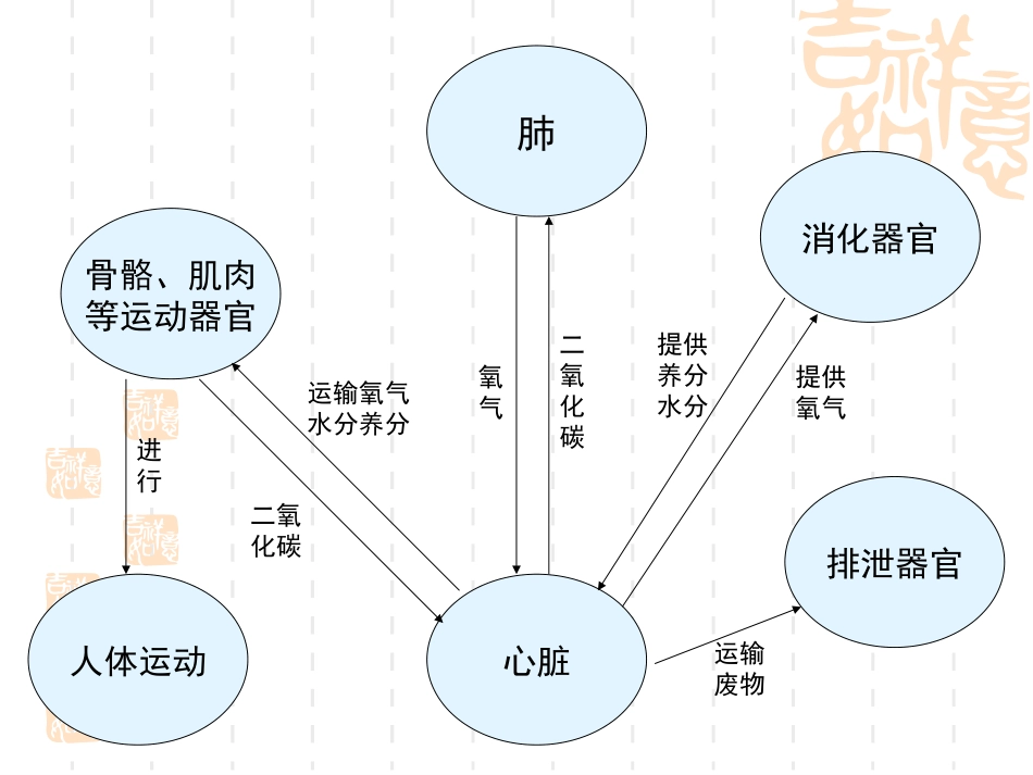 4-7相互协作的人体器官_第3页
