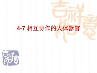 4-7相互协作的人体器官