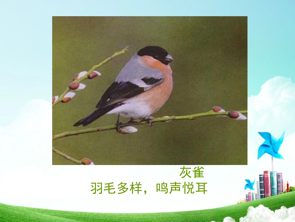 三年级-第二单元-灰雀 (2)_第2页