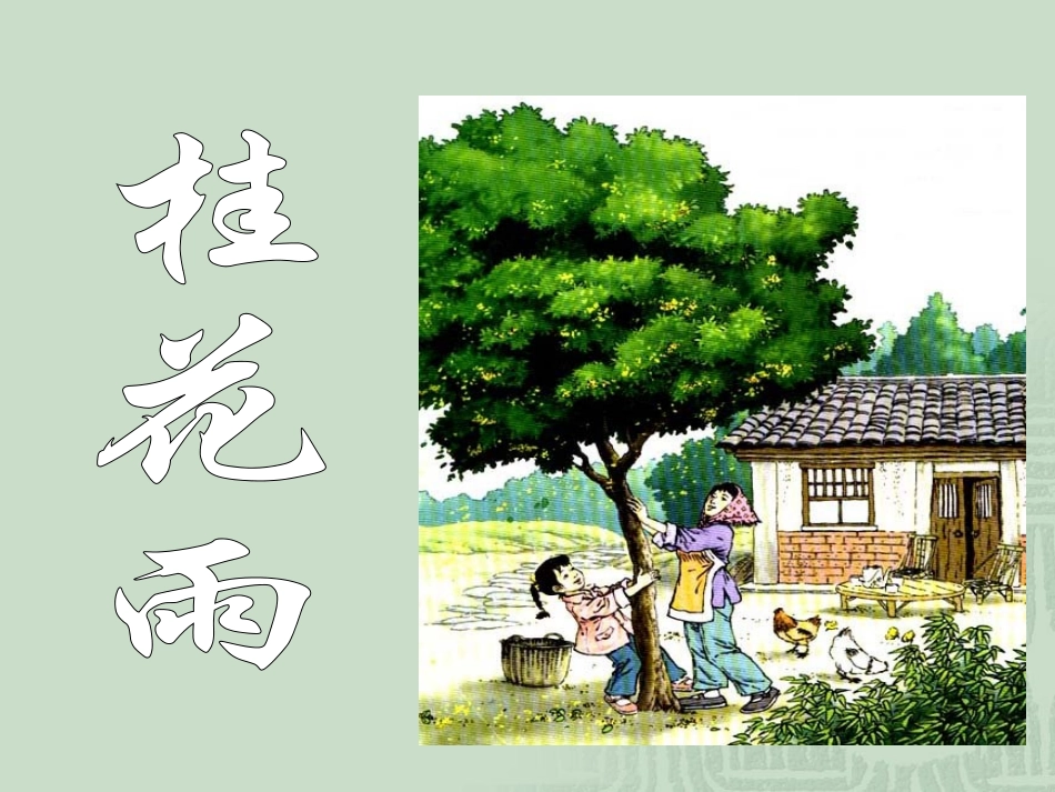 7桂花雨课件3(1)_第2页