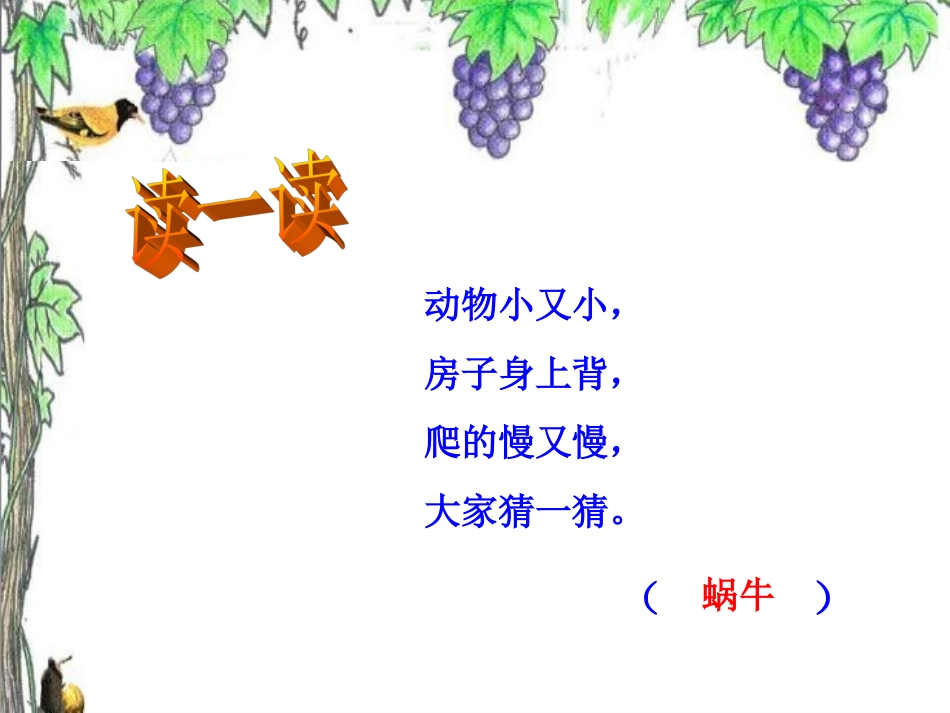 蜗牛与黄鹂鸟课件 (2)_第3页