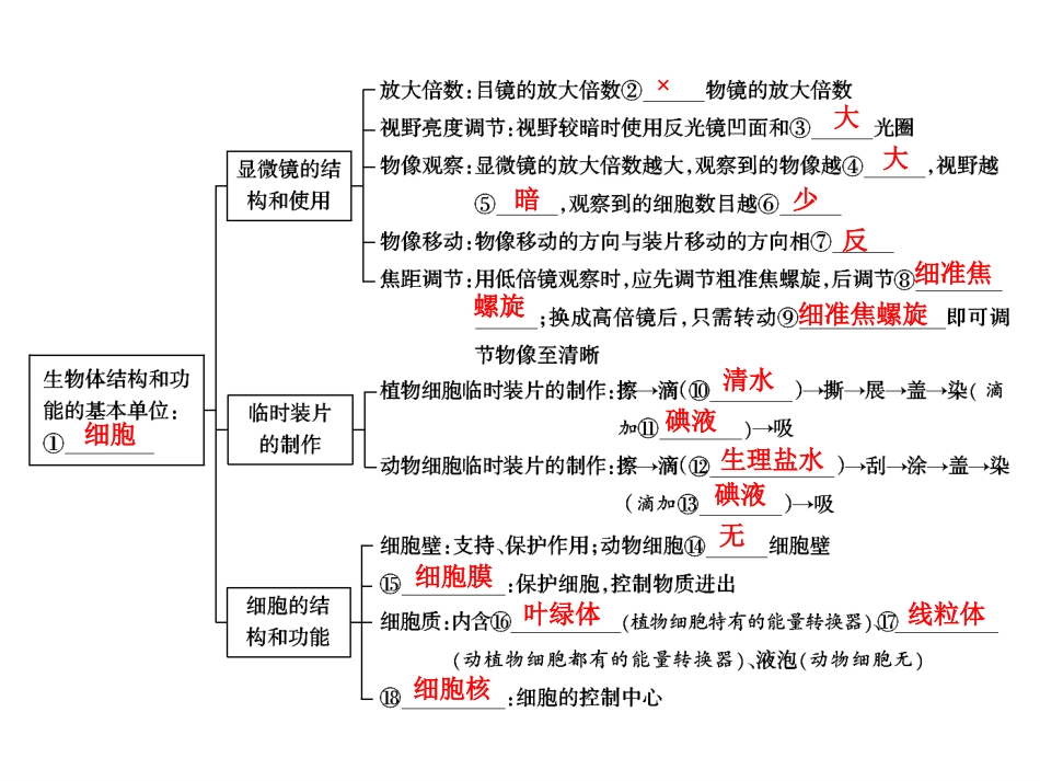 中考生物学专题知识整合·专题一生物体的结构层次_第2页