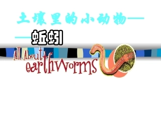 教科版小学科学三年级上册第二单元《蚯蚓》课件