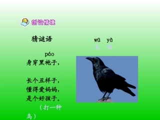 19《乌鸦喝水》课件PPT