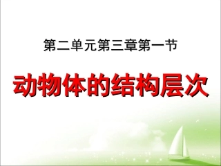 七上生物细胞怎样构成生物体