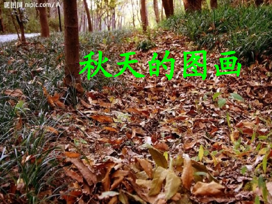 三年级上册第三单元秋天的图画_第1页