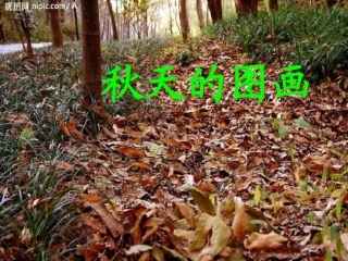 三年级上册第三单元秋天的图画