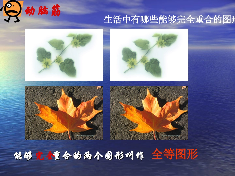 251全等三角形及性质_第3页