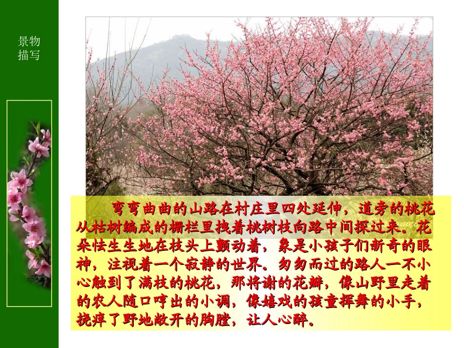 一花一草皆显情_第3页