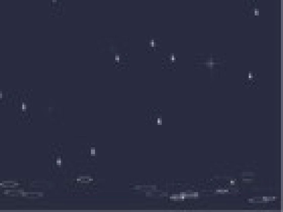 一年级语文《雨点儿》PPT课件111_第1页