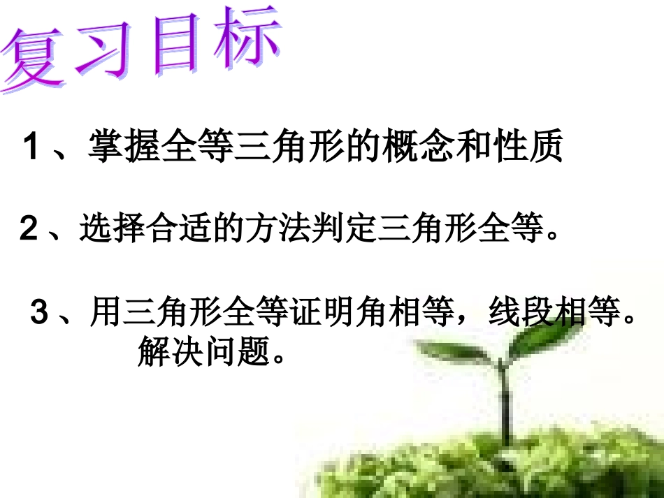 全等三角形复习课件_第2页