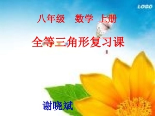 全等三角形复习课件