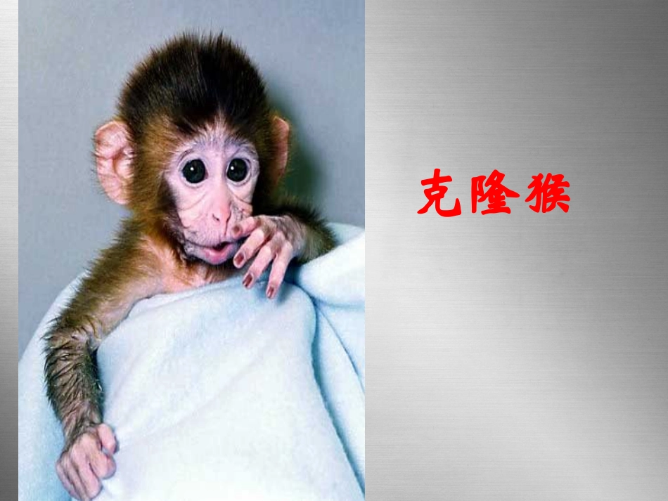 第28课《奇妙的克隆》_第3页