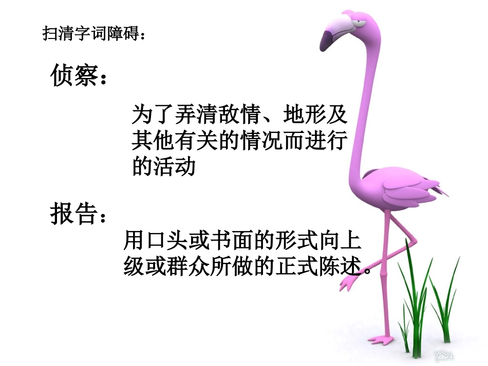 鸟儿的侦察报告课件_第3页