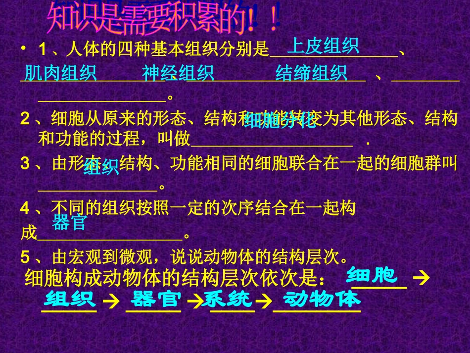 植物体的结构层次 (2)_第2页