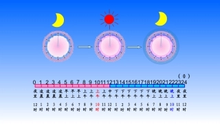 三数下复习课件