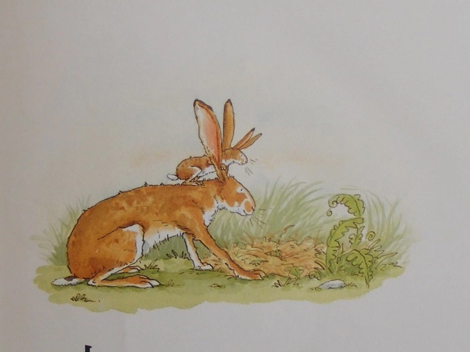 猜猜我有多爱你 (3)_第2页