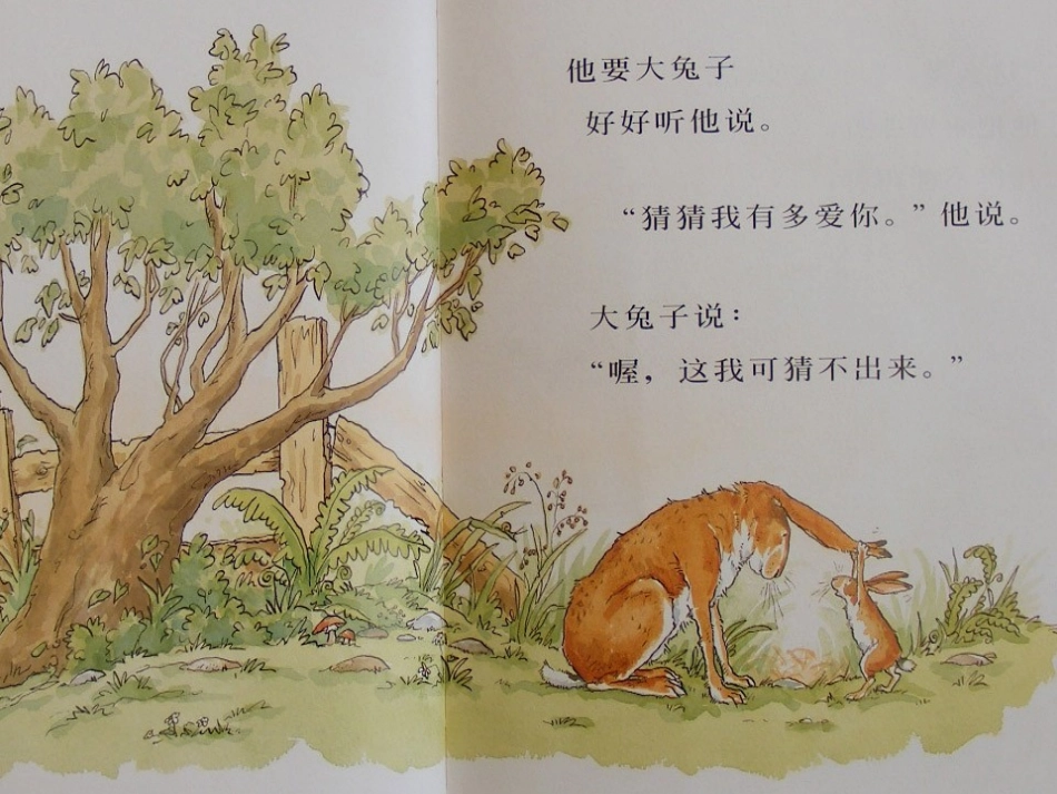 猜猜我有多爱你 (3)_第3页