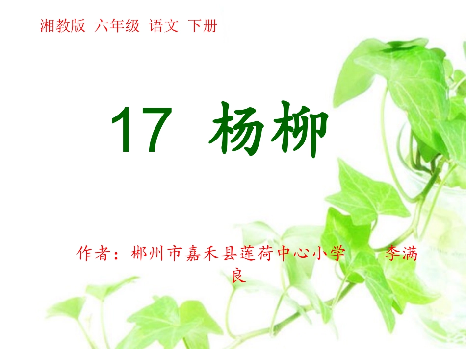 PPT17杨柳_第1页