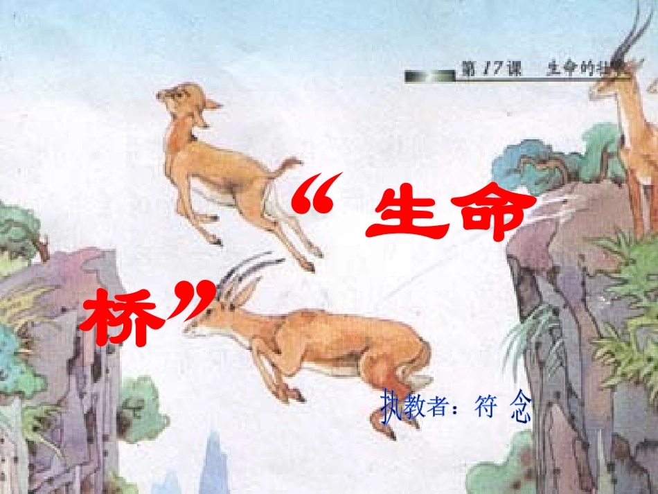 生命桥课件符念_第3页