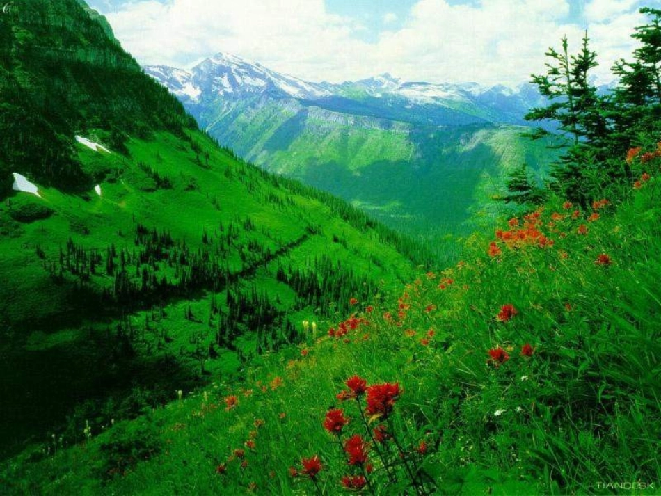 七年级语文上册 第一单元第1课 《在山的那边》课件 人教新课标版_第3页