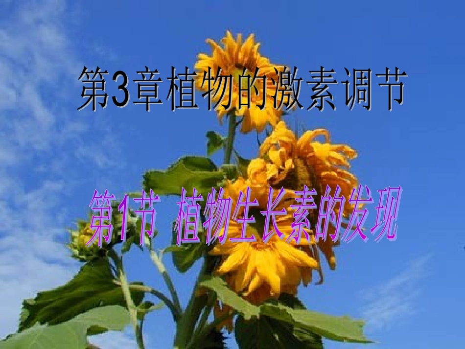 生长素的发现_第1页