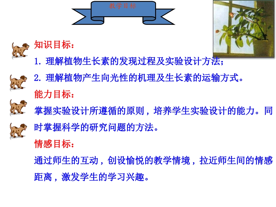 生长素的发现_第2页