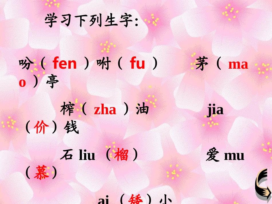落花生PPT_第3页