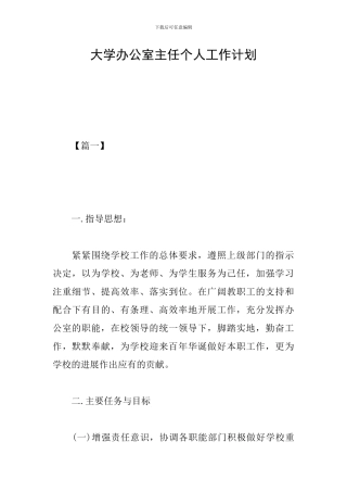 大学办公室主任个人工作计划