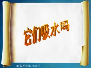 34它们吸水吗PPT三上