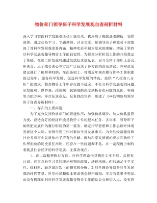 物价部门领导班子科学发展观自查剖析材料 