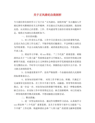 关于正风肃纪自我剖析 